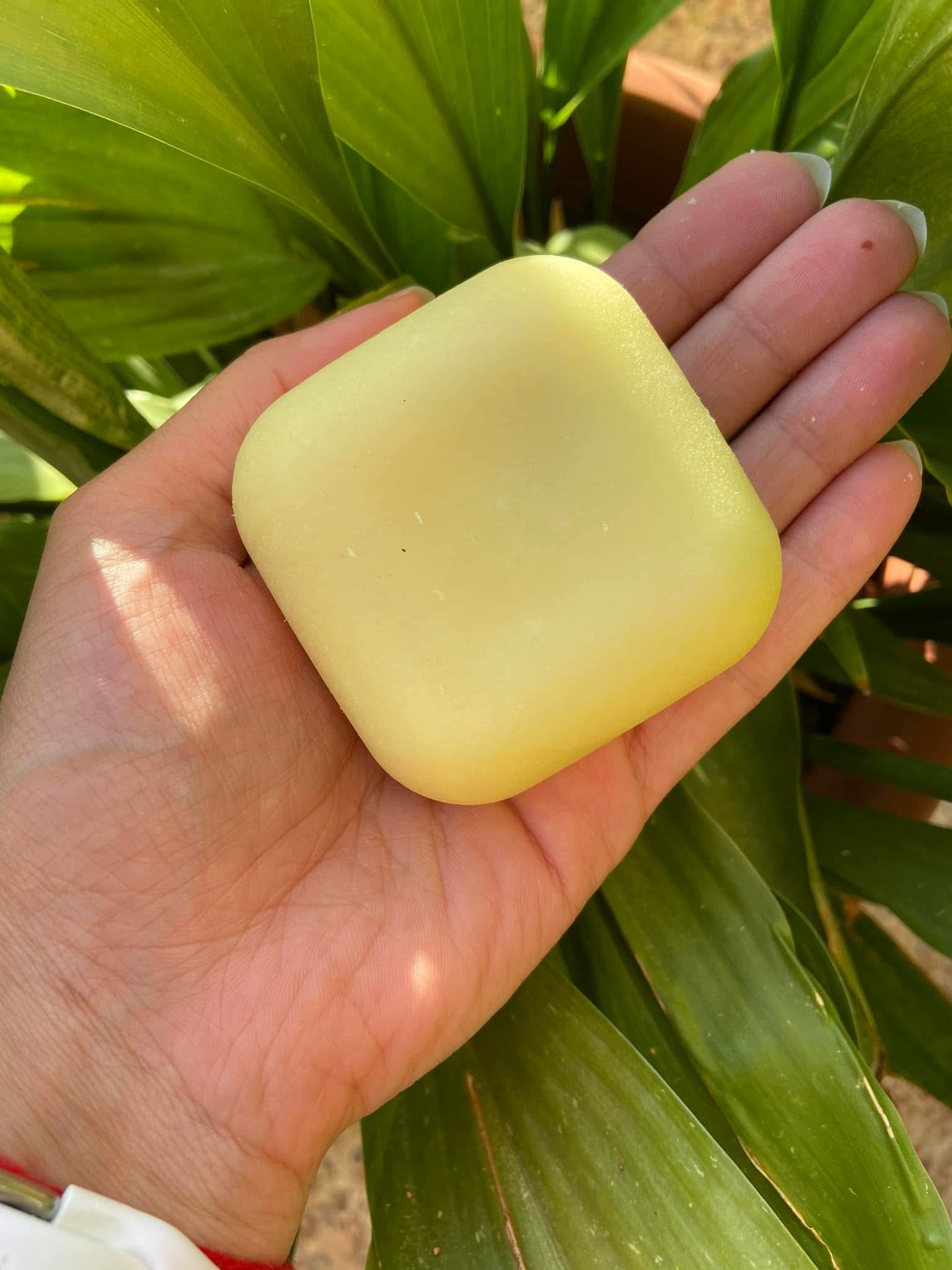 Omaggio dovuto ad Artemisia