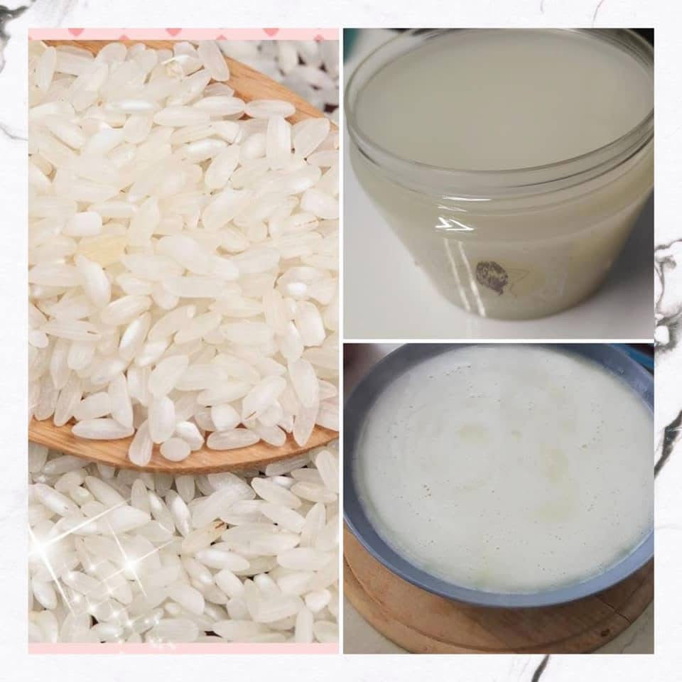 Le meraviglie del riso