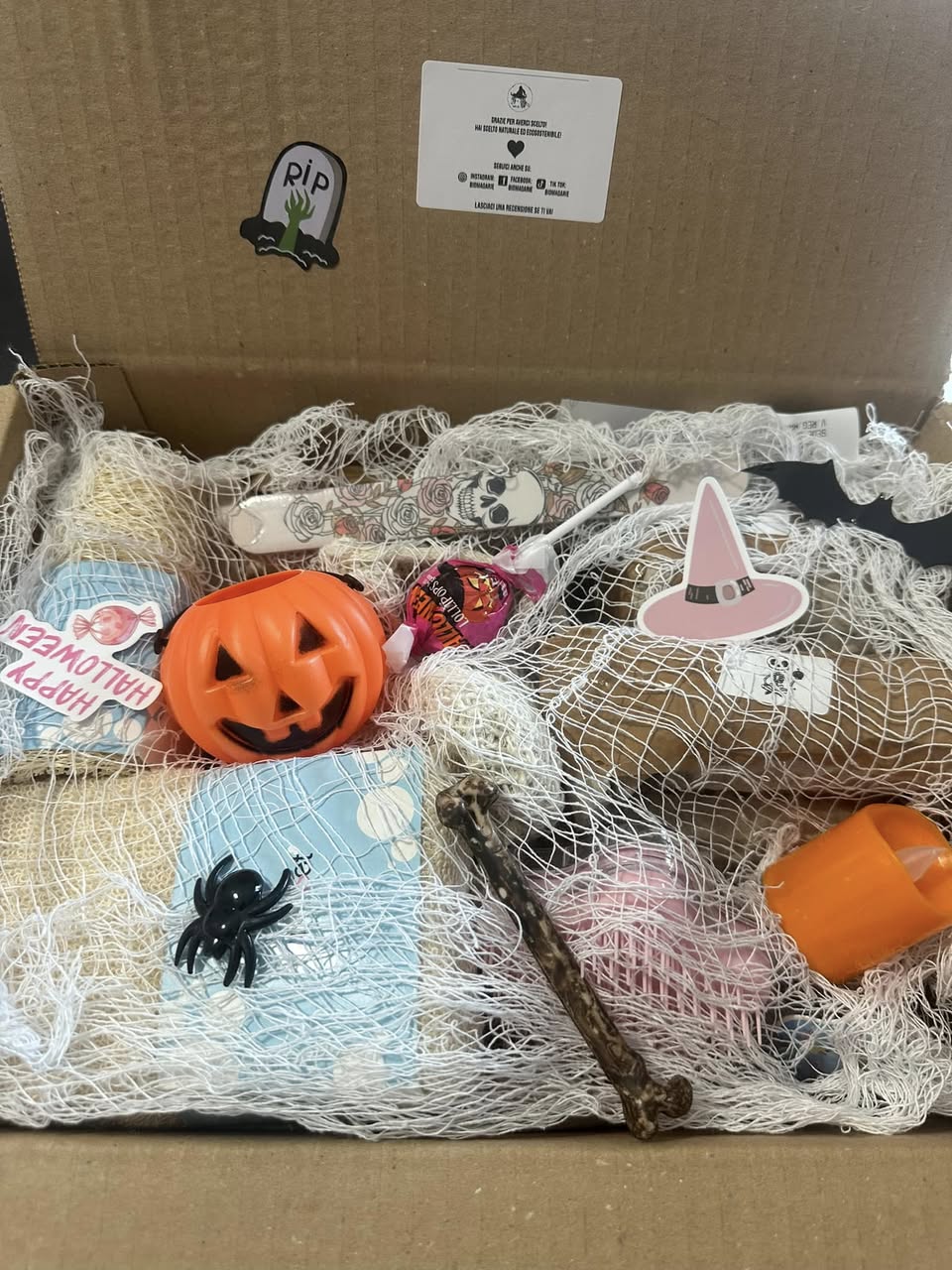 Magarbox Halloween - PIPISTRELLO
