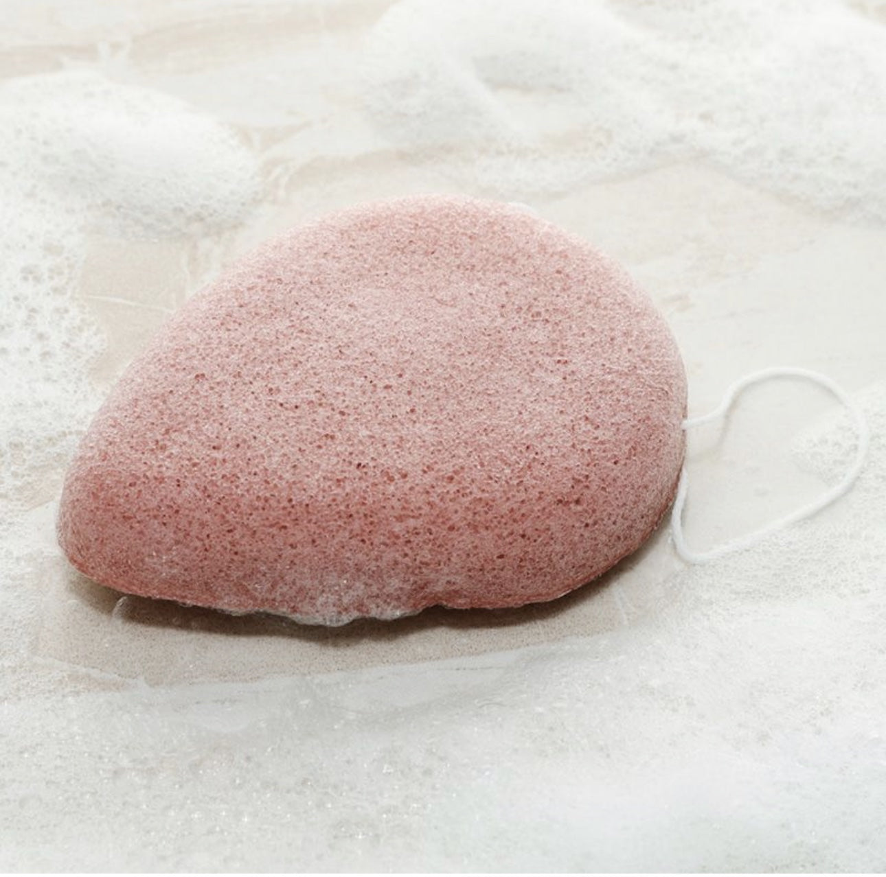 Spugna konjac con argilla rossa