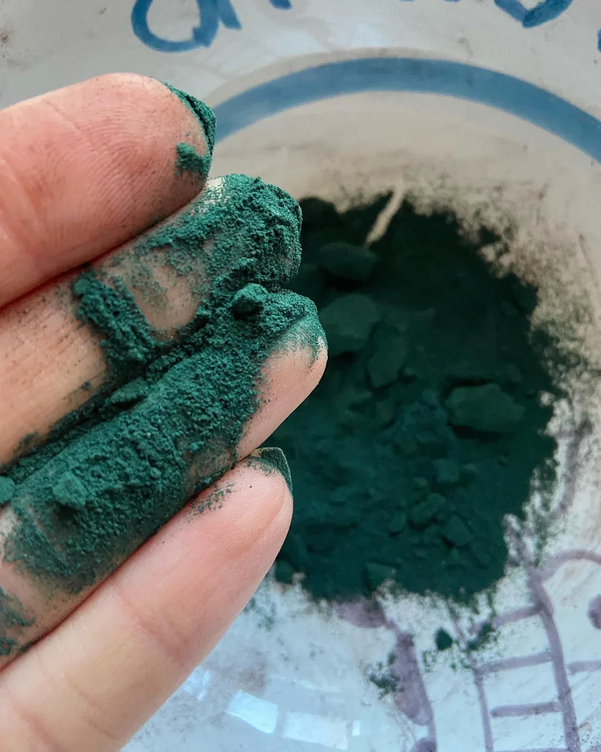 Alga spirulina